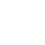 precision icon